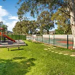 Alados