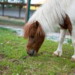 Alados Bed and Breakfast Turgutkoy