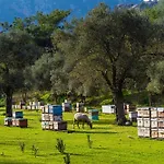Bed & Breakfast Alados 2*