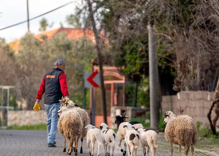 Couette-café Alados Turgutkoy