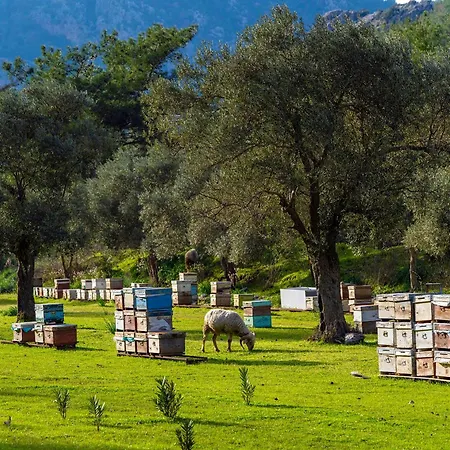 Bed & Breakfast Alados 2*