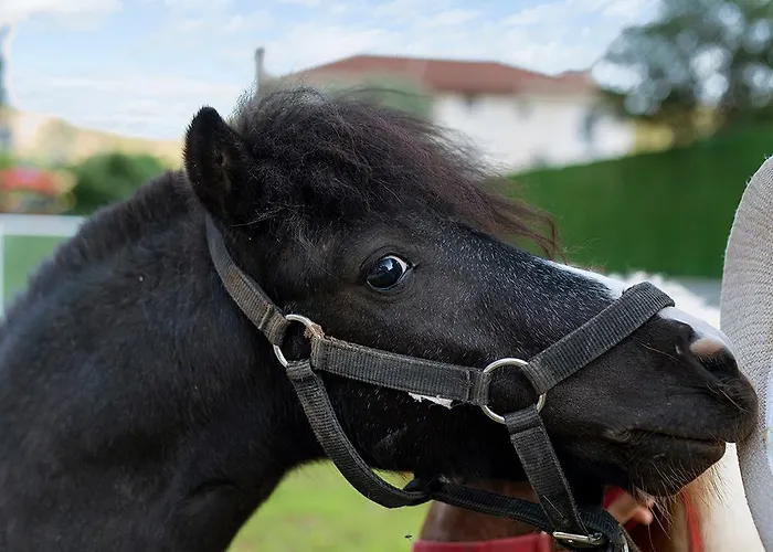 Nocleg ze śniadaniem Alados